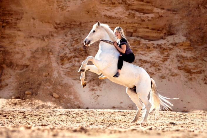 Pferdefotografie Pferd steigt in Sandgrube Sandkuhle Fotoshooting Hannover